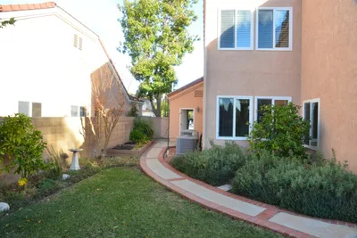 DSC_7369 (Large).JPG